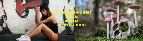 МДПВ Волосово