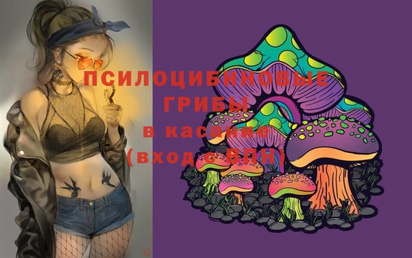 МДПВ Волосово
