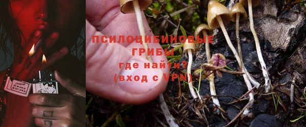 МДПВ Волосово